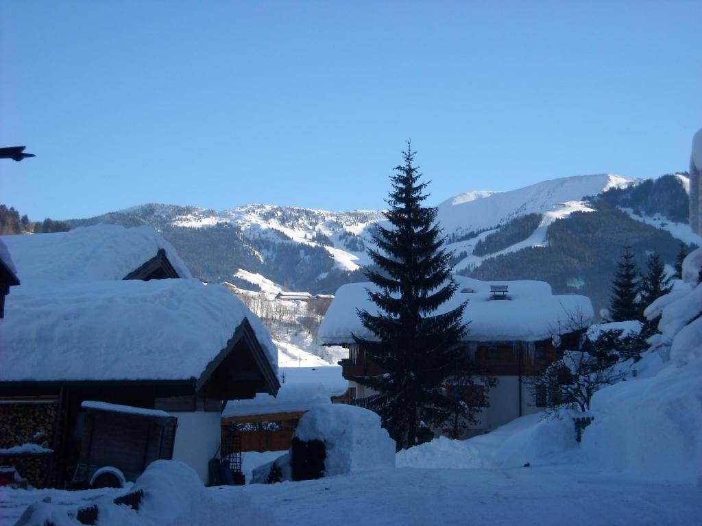 l'Appartamento Haus Rieder Georg Maria Alm am Steinernen Meer Esterno foto