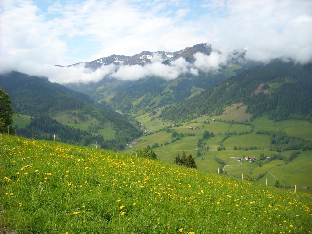 l'Appartamento Haus Rieder Georg Maria Alm am Steinernen Meer Esterno foto